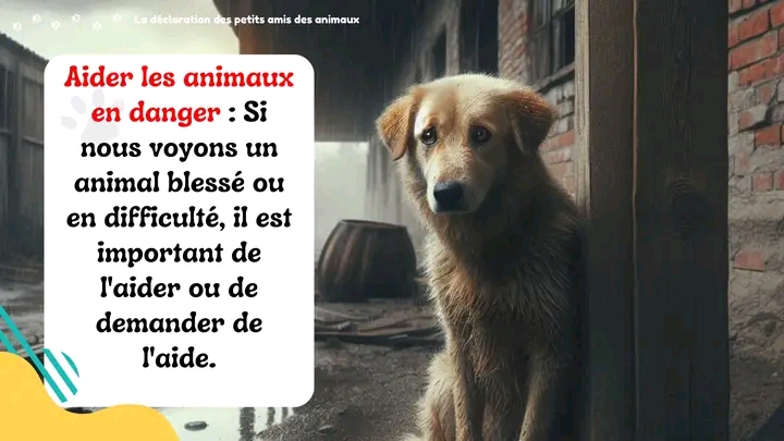بحث بالفرنسية حول حقوق الحيوان