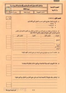 إصلاح مناظرة السيزيام 2023 العربية