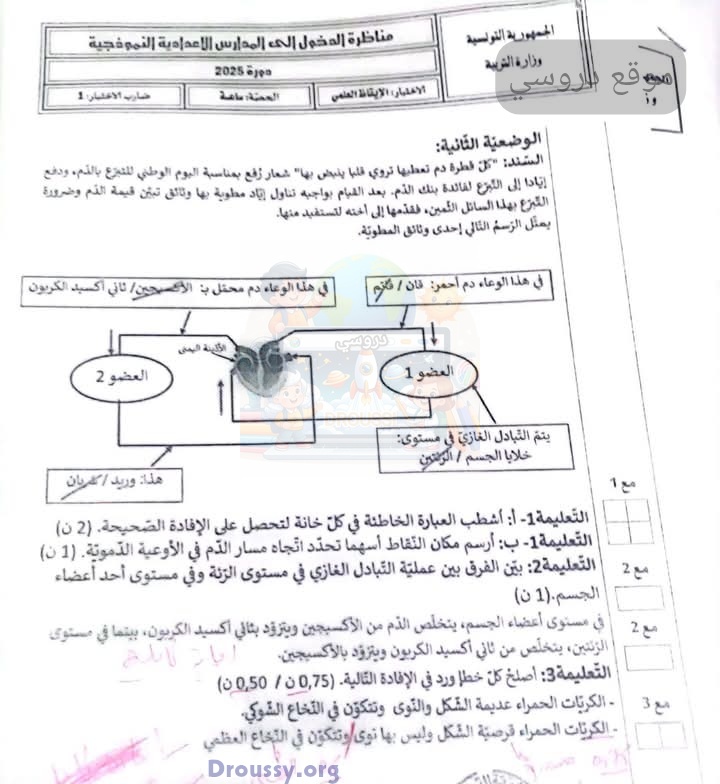 الاصلاح الرسمي مناظرة الايقاظ العلمي سنة سادسة 2025