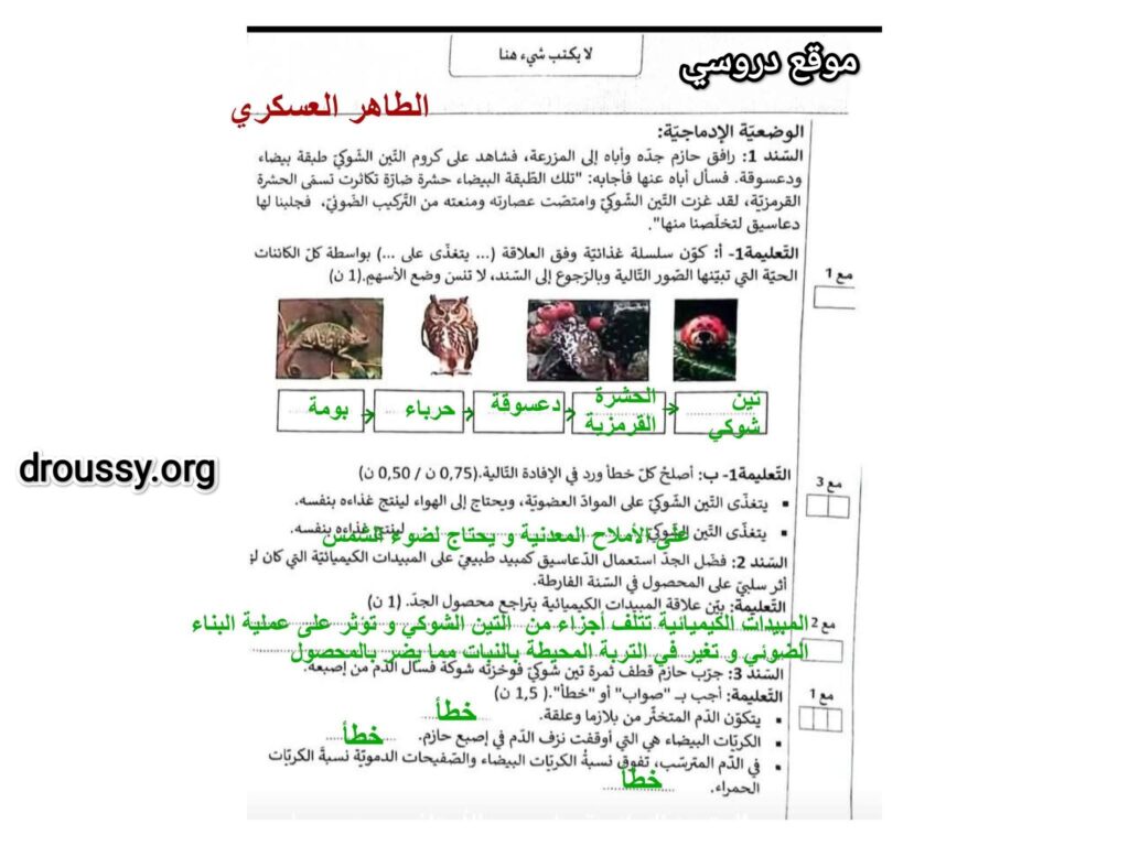 إصلاح الإيقاظ العلمي 2025