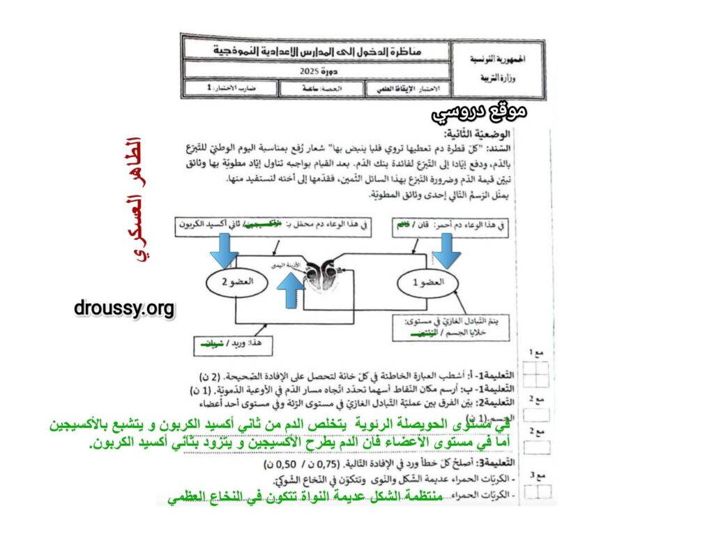 محاولة اصلاح مناظرة الايقاظ سنة سادسة 2025