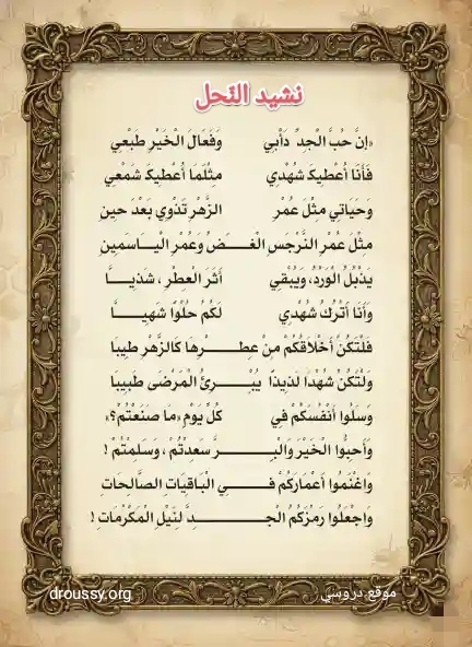 نشيد النحل سنة 4